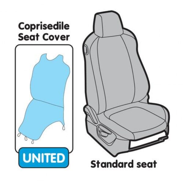 ΠΛΑΤΟΚΑΘΙΣΜΑ T-SHIRT ΜΑΥΡΟ 1ΤΕΜ. - Image 2